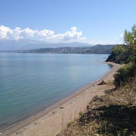 Camping Golden Sunset Alissos Zewnętrze zdjęcie